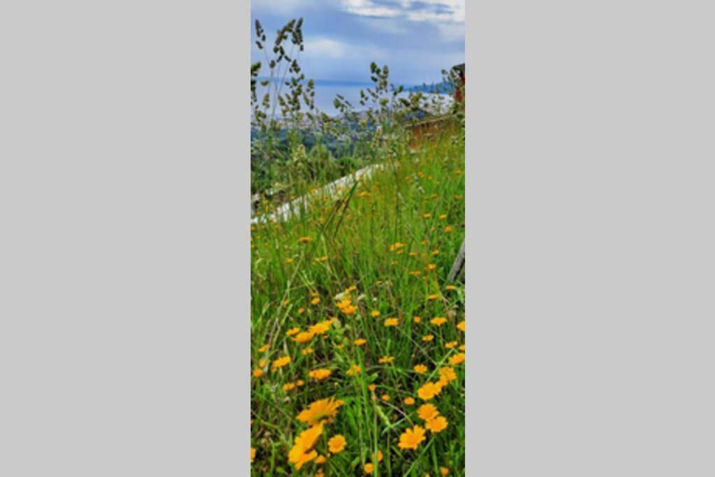 La Finestra Sul Golfo - Citra 010018-Lt-0033 - Villa Cogorno Buitenkant foto