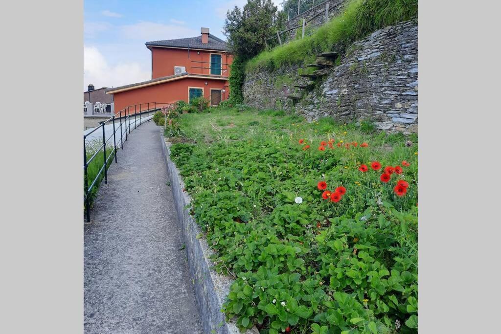 La Finestra Sul Golfo - Citra 010018-Lt-0033 - Villa Cogorno Buitenkant foto